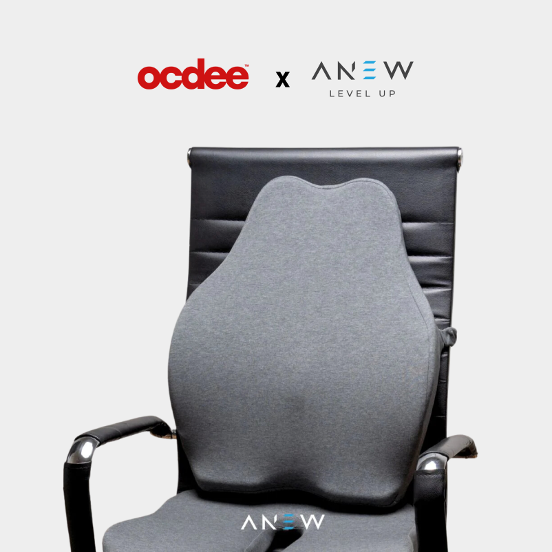 ANEW Ergonomic Back Cushion