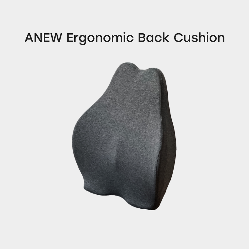 ANEW Ergonomic Back Cushion