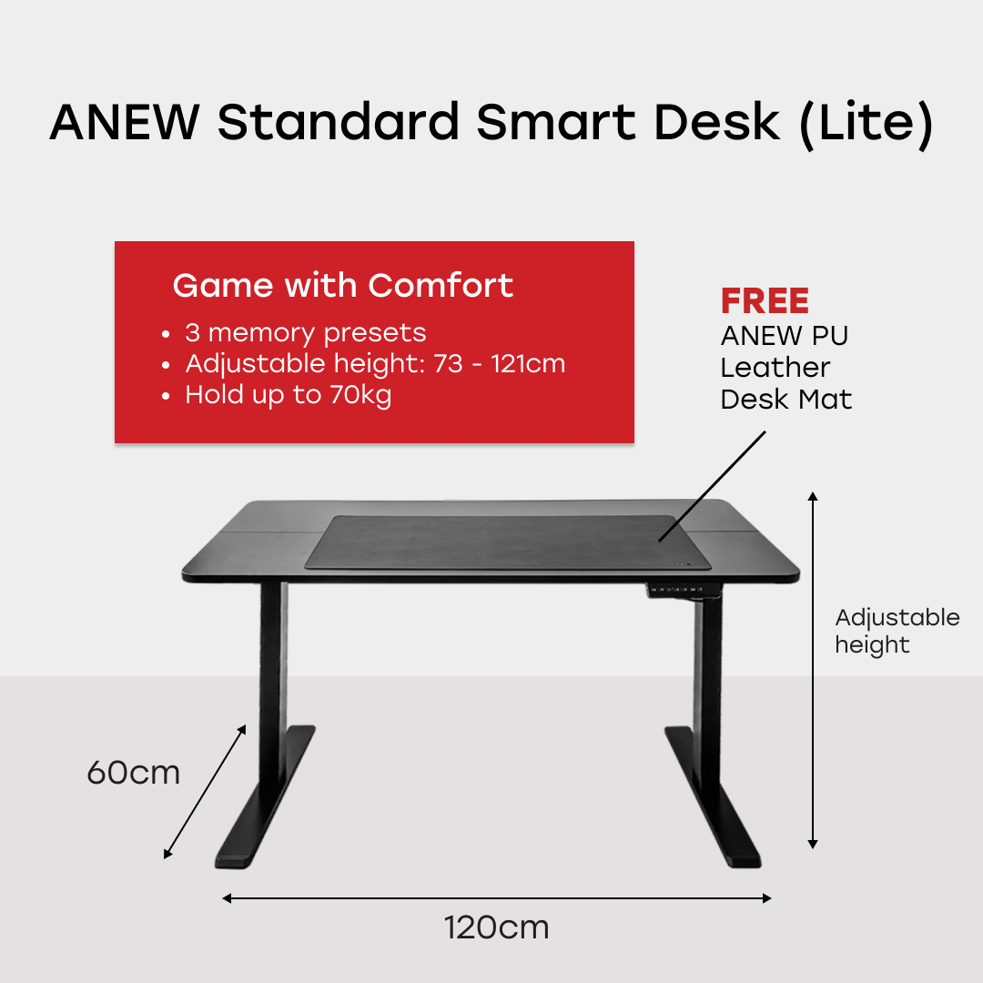 ANEW Standard Smart Desk (Black)